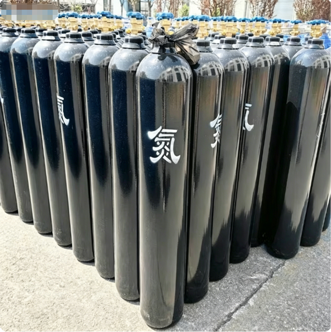 Cryogenic Liquid Nitrogen Dewar with Roller Base Convenient Mobility Around Liquid Nitrogen T75 Tank